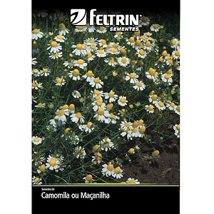 SEMENTE CAMOMILA OU MACANILHA 300MG 1UN