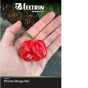 FELTRIN SEMENTE PIMENTA MORUGA RED 1G 1UN