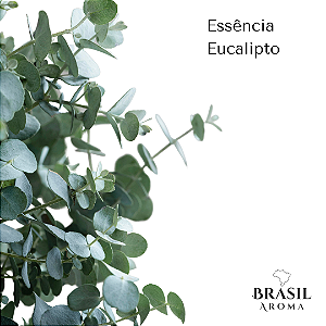 Essência Eucalipto - 1L