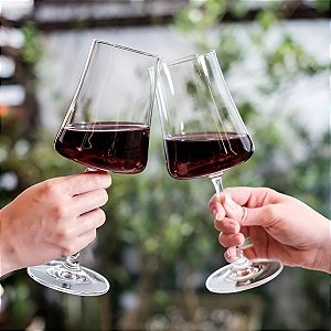 Jogo 6 Taças Cristal Titanio Premium