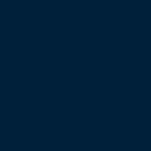 950721 - Liso Azul Marinho (estampa rotativa)