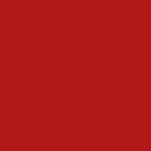 950740 - Liso Vermelho Claro (estampa rotativa)