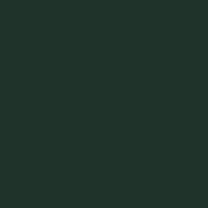 956896 - Liso Verde Escuro (estampa rotativa)