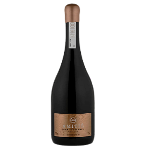 Vinho Amitié Oak Barrel Pinot Noir