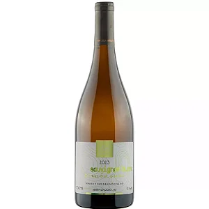 Vinho Branco Brasileiro Arte Viva Sinônimos Sauvignon Blanc | Vale dos Vinhedos | RS