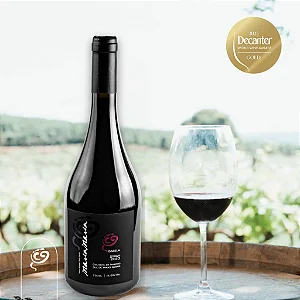 Vinho Tinto Brasileiro Premiado Maria Maria Isabela Syrah Safra 2023 Ouro Decanter 96 pts