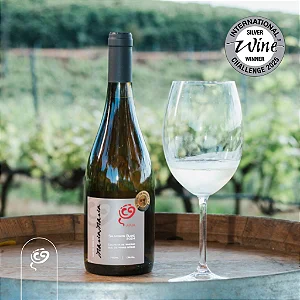 Vinho Branco Brasileiro Maria Maria Julia Sauvignon Blanc safra 2024 Colheita de Inverno Serra da Mantiqueira