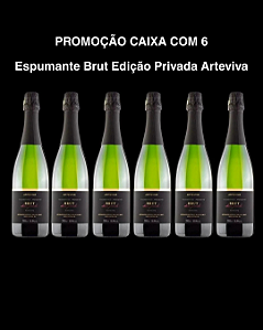 Promoção Espumante Brut Edição Privada Arteviva Prosecco Caixa com 6 garrafas