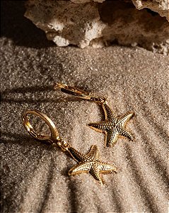 Argola pequena com pingente estrela do mar