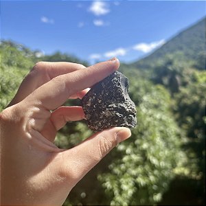 Shungita com Pirita - Blindagem Energética e Prosperidade Intuitiva