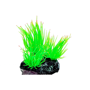 ENFEITE DE SILICONE SOMA ANEMONA LONG TENTACLE VERDE - MULTI