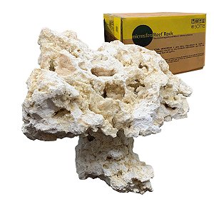 ROCHA MARINHA SOMA MICROSFERA REEF PLATE PEDESTAL NATURAL TOP 5UN (CX)
