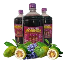 Comprar Fruta Noni Suco de Noni com Uva 3 Litros Orgânico