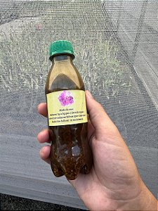 Extrato Neem (Acaricida-Fungicida-Inseticida)