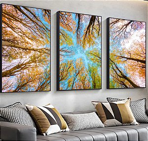 Quadro Trio Paisagens Céu acima das Árvores