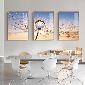 Quadro Dente de Leão com Gotas