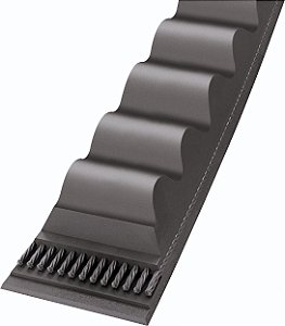 Correia em V dentada 13AX 20541076/20778689 CONTINENTAL