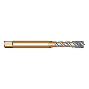Macho máquina HSS-E 22mm x 2,5mm com canal helicoidal EX00 DIN 376 DORMER
