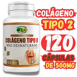Colágeno tipo II Articulação Cartilagem Joelho Juntas não desnaturado 120 capsulas 500 mg