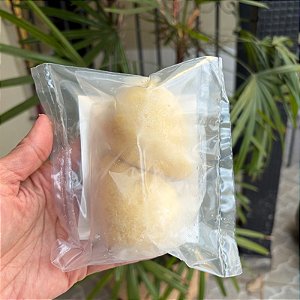 Coxinha de Frango Lanchonete 2un - Total Free