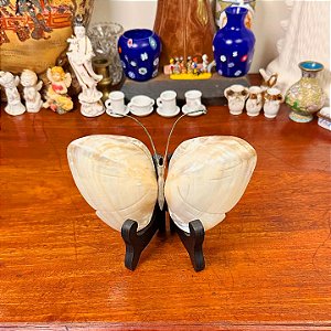 Borboleta com asas em conchas de madrepérola