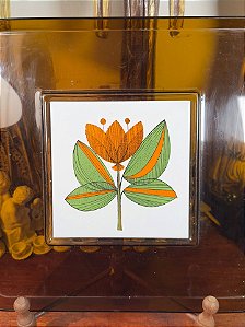 Bandeja em Acrílico Âmbar Anos 70.