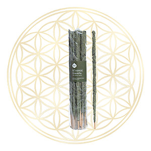 Incenso Sagrada Madre Linha Artesano Chá Verde e Flor de Champa 20 varetas