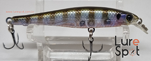 Lucky Craft Bevy Pointer 63MR