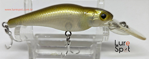Evergreen Spin Move Shad