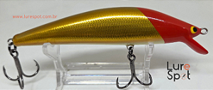 Pescarias / Espécies de Peixes - Lure Spot