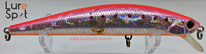 DUO Beachwalker 110S