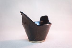 POTINHO PATO PRETO