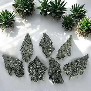 Cianita Negra - Vassoura de Bruxa