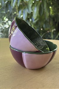Bowl Verde e Rosa