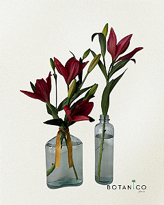 ARRANJO 5 ARTE EM VASOS E FLORES - COMPOSIÇÃO DE EM VASOS DE VIDRO - TAMANHO (G)