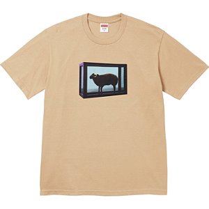 SUPREME x DAMIEN HIRST - Camiseta "Khaki" -NOVO-