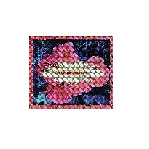 SUPREME - Adesivo FW17 Holographic Bloom -NOVO-