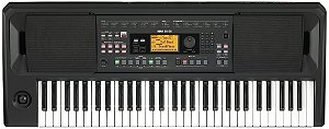 Teclado Korg Arranjador EK-50