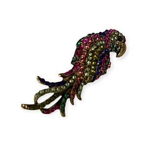 Broche Arara Colorida