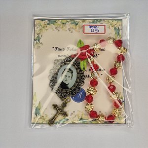 Novena Santa Teresinha Rosas (mod.03)