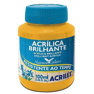 Tinta Acrílica Brilhante AMARELO OURO - Acrilex (100ml)