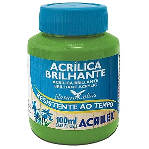 Tinta Acrílica Brilhante VERDE FOLHA - Acrilex (100ml)