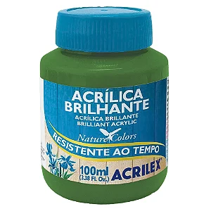 Tinta Acrílica Brilhante VERDE MUSGO - Acrilex (100ml)