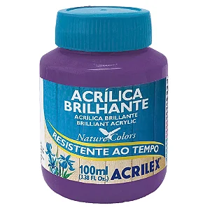 Tinta Acrílica Brilhante VIOLETA - Acrilex (100ml)