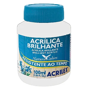 Tinta Acrílica Brilhante BRANCO - Acrilex (100ml)