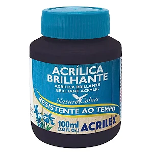 Tinta Acrílica Brilhante PRETO - Acrilex (100ml)