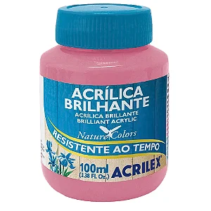 Tinta Acrílica Brilhante ROSA - Acrilex (100ml)