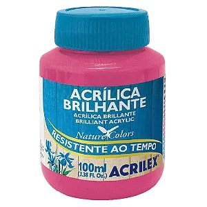 Tinta Acrílica Brilhante ROSA ESCURO - Acrilex (100ml)