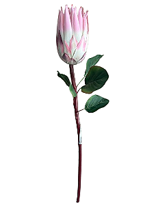 Haste de Protea Fechada Artificial