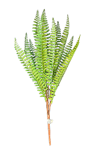 Buquê Samambaia Artificial Real Toque